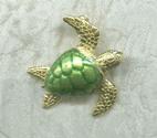 Enamel Turtle